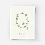 affiche botanique avec la lettre q formee de feuilles vertes et de fleurs blanch.webp
