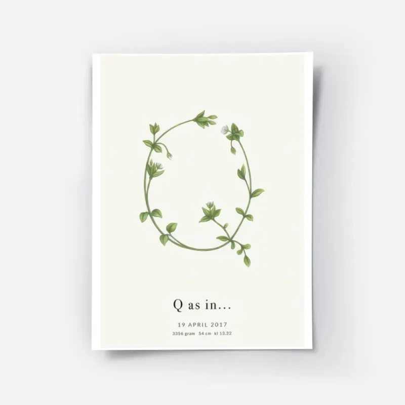 affiche botanique avec la lettre q formee de feuilles vertes et de fleurs blanch.webp