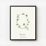 affiche botanique avec la lettre q formee de feuilles vertes et de fleurs blanch avec cadre.webp