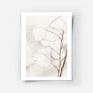 affiche botanique avec photographie en gros plan de feuilles sechees beige clair.webp