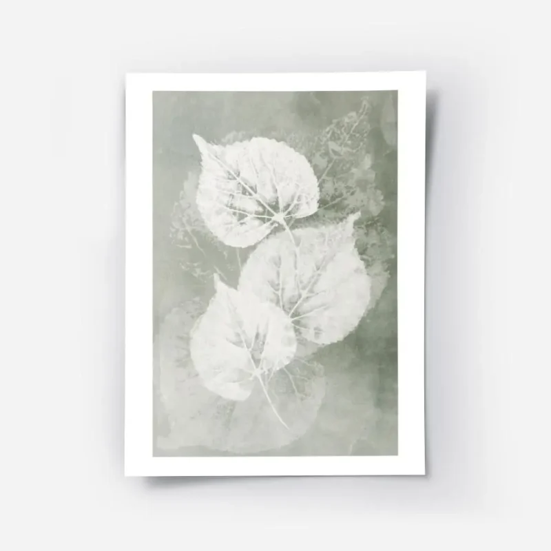 affiche botanique avec trois feuilles blanches aux details textures sur un fond .webp