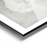 affiche botanique avec trois feuilles blanches aux details textures sur un fond aluminium.webp