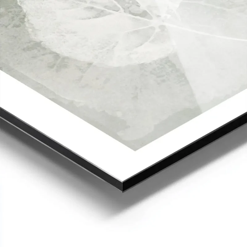 affiche botanique avec trois feuilles blanches aux details textures sur un fond aluminium.webp