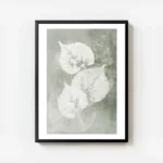 affiche botanique avec trois feuilles blanches aux details textures sur un fond avec cadre.webp