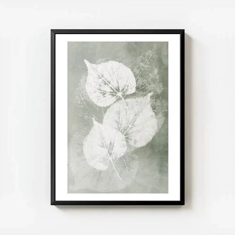affiche botanique avec trois feuilles blanches aux details textures sur un fond avec cadre.webp