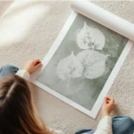 affiche botanique avec trois feuilles blanches aux details textures sur un fond en rouleau.webp