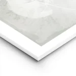 affiche botanique avec trois feuilles blanches aux details textures sur un fond lightpanel.webp