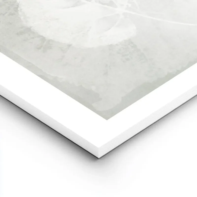 affiche botanique avec trois feuilles blanches aux details textures sur un fond lightpanel.webp
