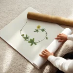 affiche botanique avec une illustration de la lettre g formee par des feuilles v enroule.webp