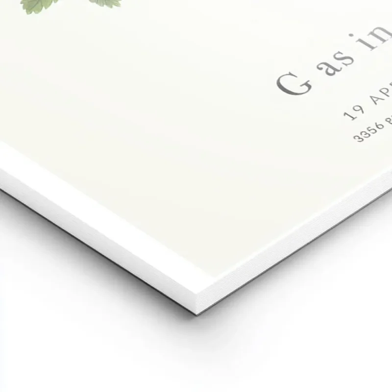 affiche botanique avec une illustration de la lettre g formee par des feuilles v lightpanel.webp
