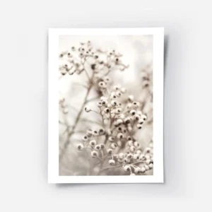 affiche botanique beige avec petites fleurs blanches au c ur marron sur fond cla.webp