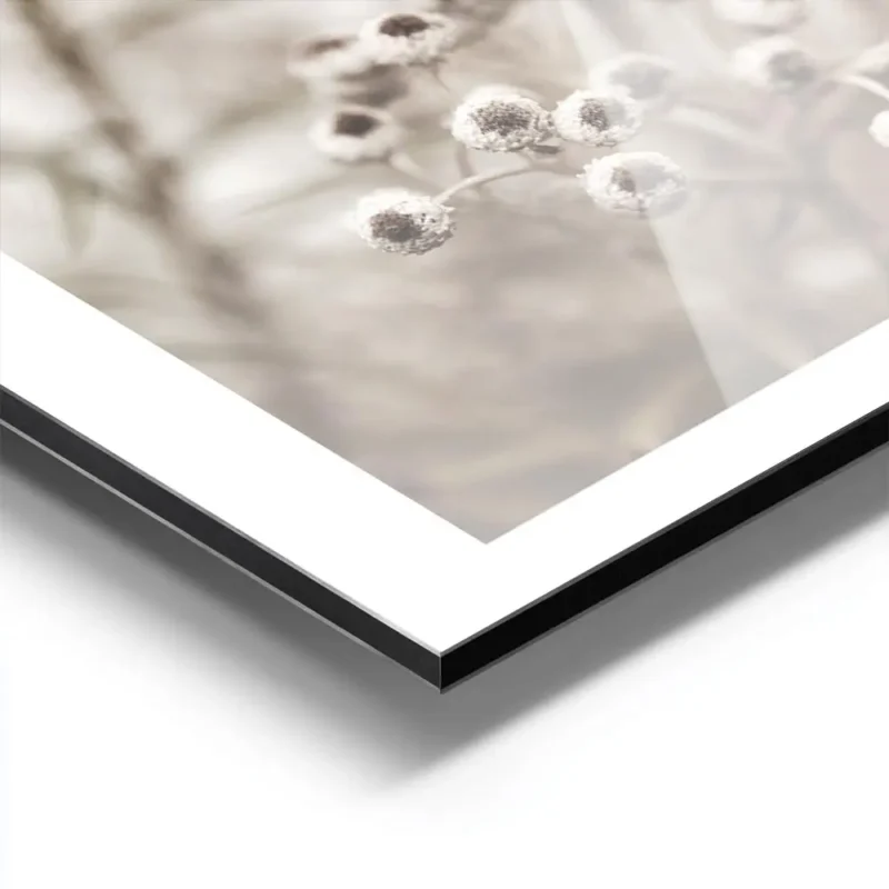affiche botanique beige avec petites fleurs blanches au c ur marron sur fond cla aluminium.webp