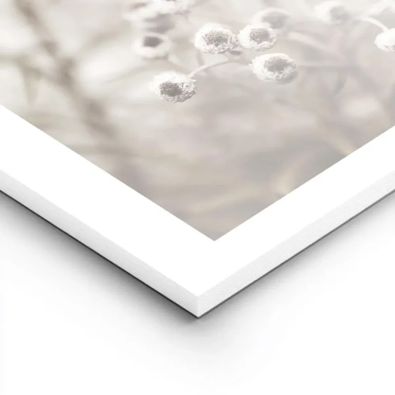 affiche botanique beige avec petites fleurs blanches au c ur marron sur fond cla lightpanel.webp