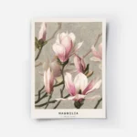 affiche botanique de magnolias roses et blancs avec des tiges vertes sur un fond.webp
