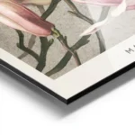 affiche botanique de magnolias roses et blancs avec des tiges vertes sur un fond aluminium.webp