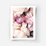 affiche botanique de pivoines roses et blanches avec un texte floral aux tons pa.webp