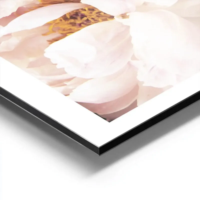affiche botanique de pivoines roses et blanches avec un texte floral aux tons pa aluminium.webp