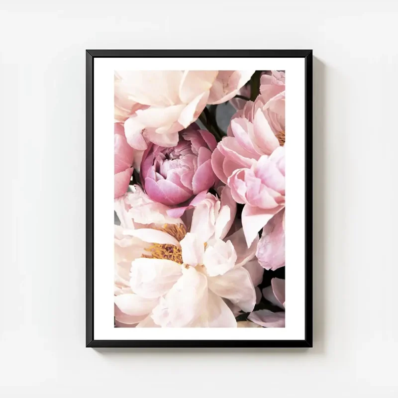 affiche botanique de pivoines roses et blanches avec un texte floral aux tons pa avec cadre.webp