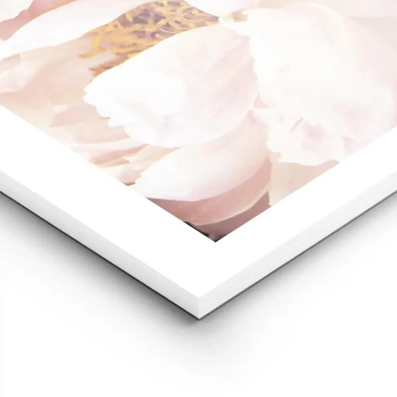 affiche botanique de pivoines roses et blanches avec un texte floral aux tons pa lightpanel.webp