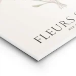 affiche botanique dun bouquet de fleurs sechees sur fond blanc avec typographie lightpanel.webp