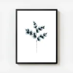 affiche botanique dun plant de coton bleu peinture a laquarelle sur fond blanc avec cadre.webp