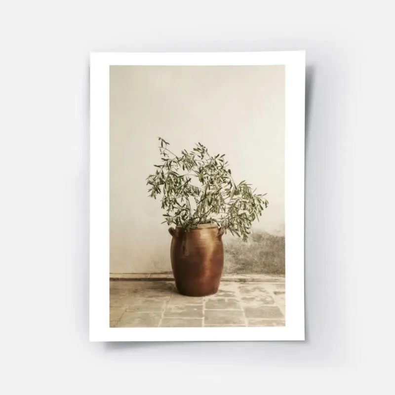 affiche botanique dun rameau dolivier dans un vase en terre cuite pose sur un so.webp
