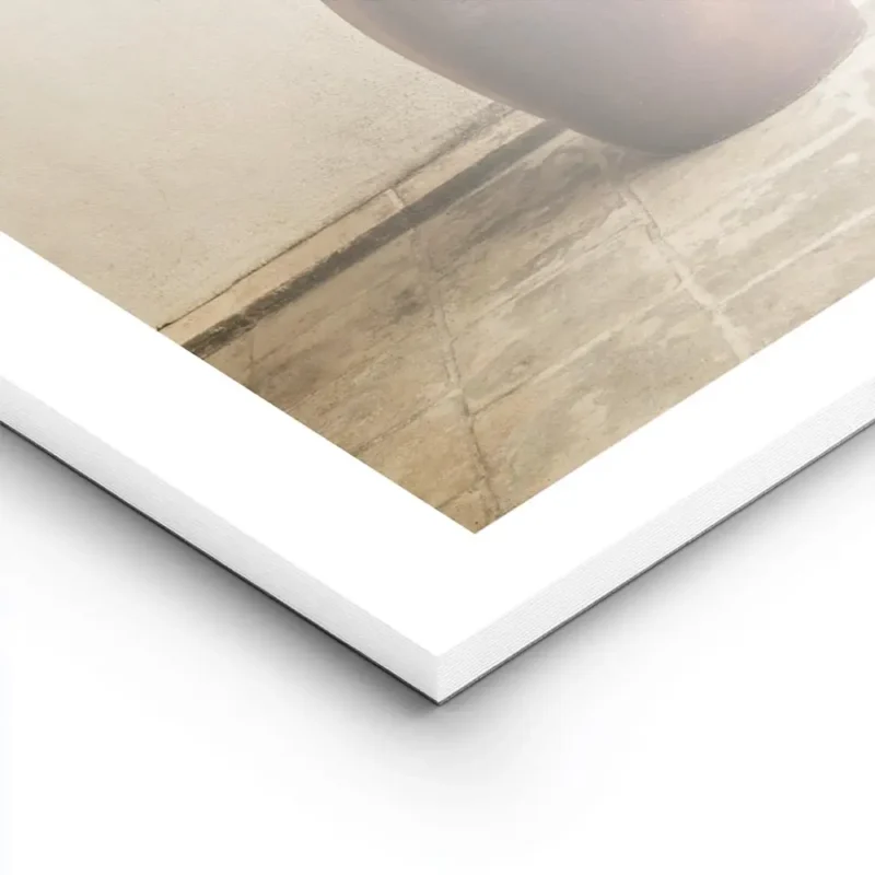 affiche botanique dun rameau dolivier dans un vase en terre cuite pose sur un so lightpanel.webp