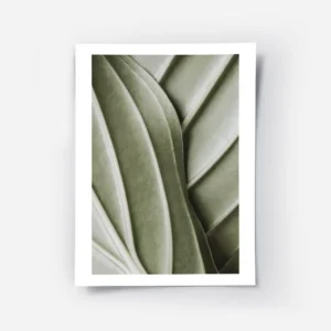 affiche botanique dune feuille verte aux nervures organiques et detaillees pour .webp