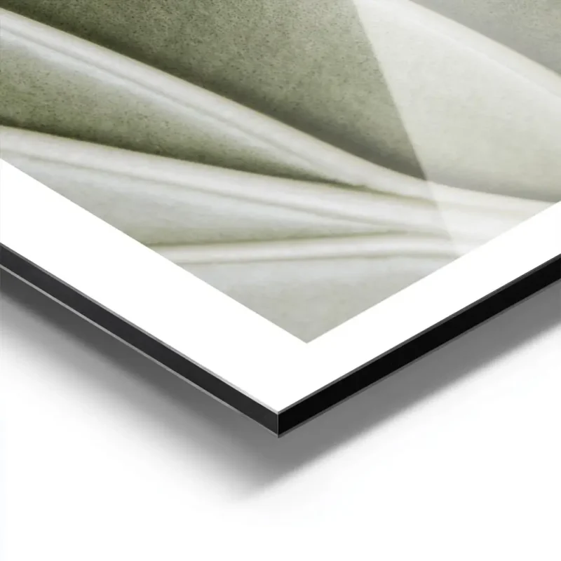 affiche botanique dune feuille verte aux nervures organiques et detaillees pour aluminium.webp