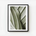 affiche botanique dune feuille verte aux nervures organiques et detaillees pour avec cadre.webp