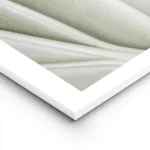 affiche botanique dune feuille verte aux nervures organiques et detaillees pour lightpanel.webp