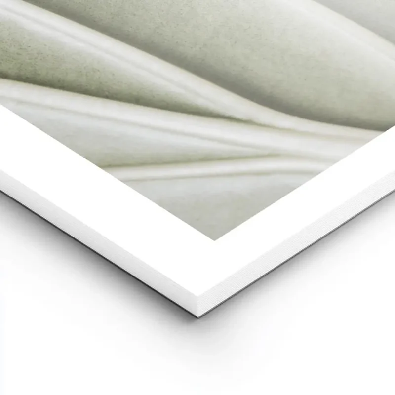 affiche botanique dune feuille verte aux nervures organiques et detaillees pour lightpanel.webp