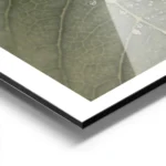 affiche botanique dune feuille verte avec des gouttes de rosee detaillees textur aluminium.webp
