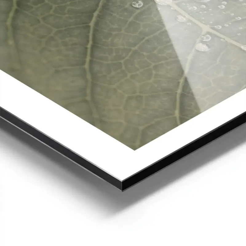 affiche botanique dune feuille verte avec des gouttes de rosee detaillees textur aluminium.webp