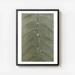 affiche botanique dune feuille verte avec des gouttes de rosee detaillees textur avec cadre.webp