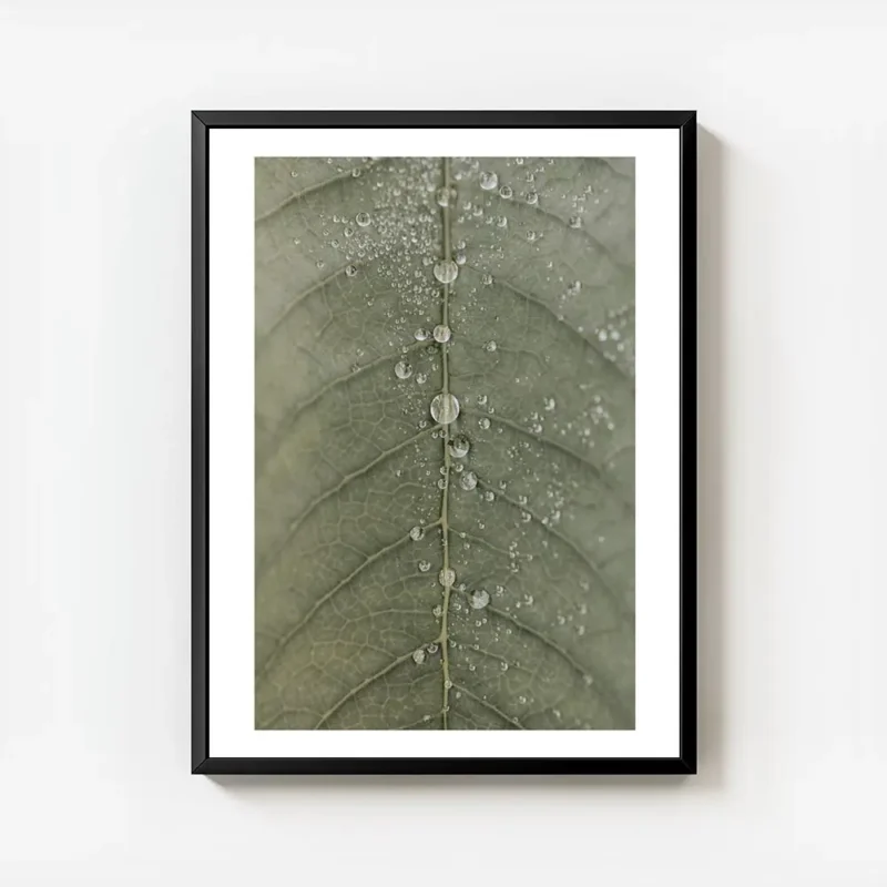 affiche botanique dune feuille verte avec des gouttes de rosee detaillees textur avec cadre.webp
