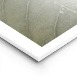 affiche botanique dune feuille verte avec des gouttes de rosee detaillees textur lightpanel.webp