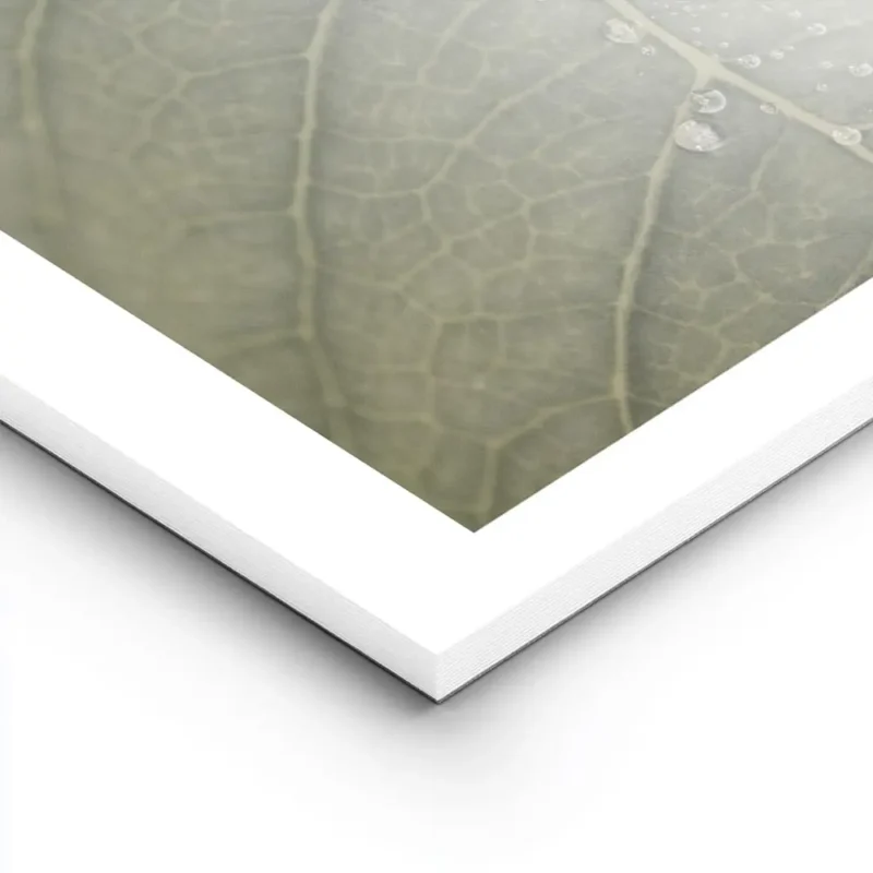 affiche botanique dune feuille verte avec des gouttes de rosee detaillees textur lightpanel.webp