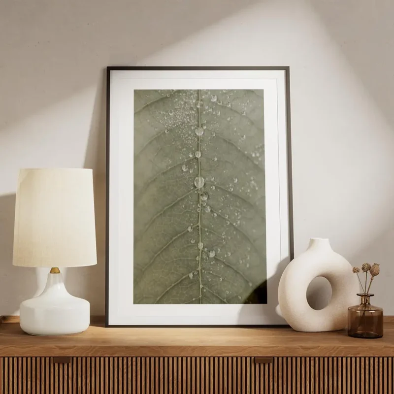 affiche botanique dune feuille verte avec des gouttes de rosee detaillees textur meuble.webp