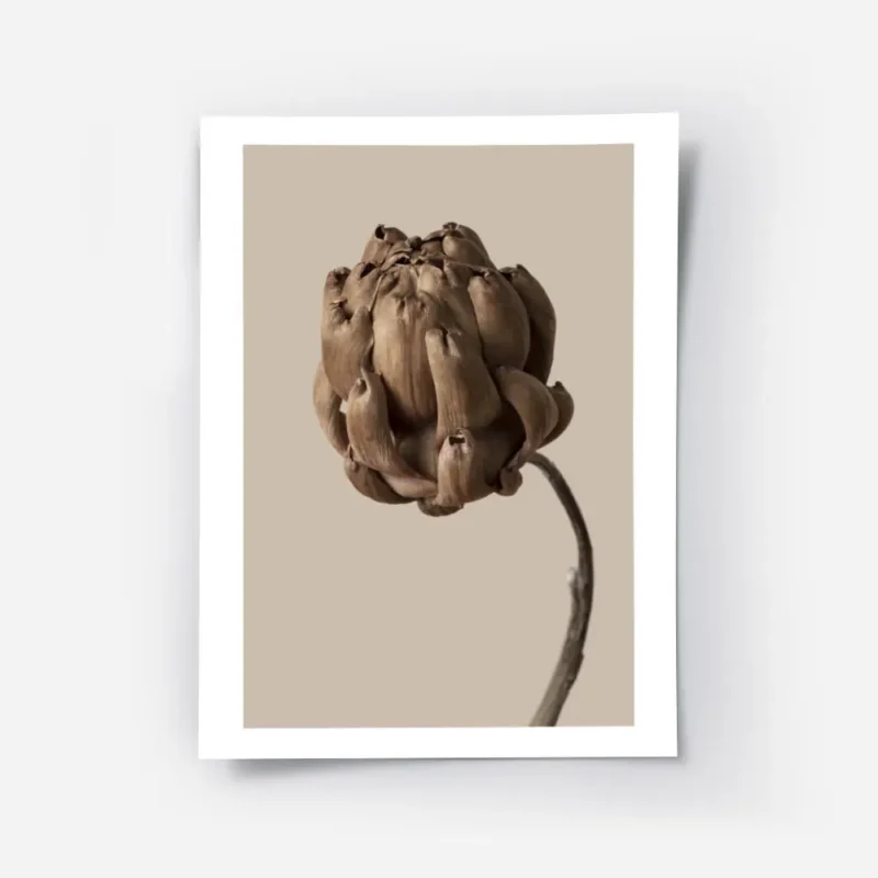 affiche botanique dune fleur marron sur fond beige.webp