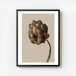 affiche botanique dune fleur marron sur fond beige avec cadre.webp