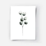 affiche botanique eucalyptus plant typographie a laquarelle de feuilles deucalyp.webp