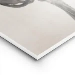 affiche botanique minimaliste dun artichaut beige sur fond clair avec des detail lightpanel.webp