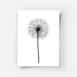 affiche botanique noir et blanc dun pissenlit avec ses graines fines et aerienne.webp