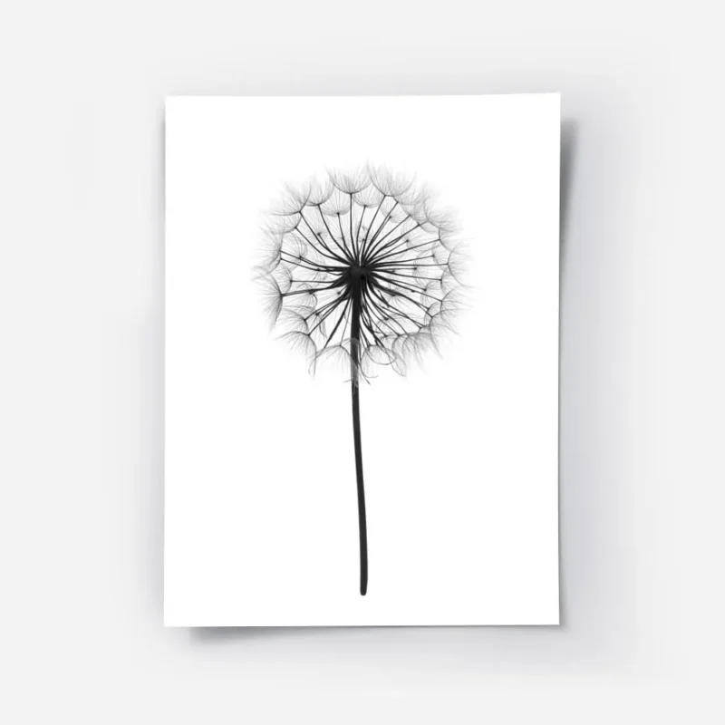 affiche botanique noir et blanc dun pissenlit avec ses graines fines et aerienne.webp