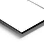 affiche botanique noir et blanc dun pissenlit avec ses graines fines et aerienne aluminium.webp