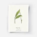 affiche botanique personnalisee avec illustration dune plante formant la lettre .webp