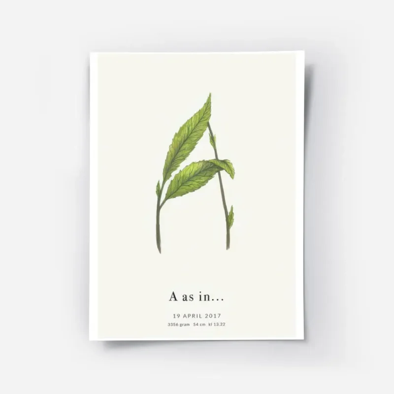 affiche botanique personnalisee avec illustration dune plante formant la lettre .webp