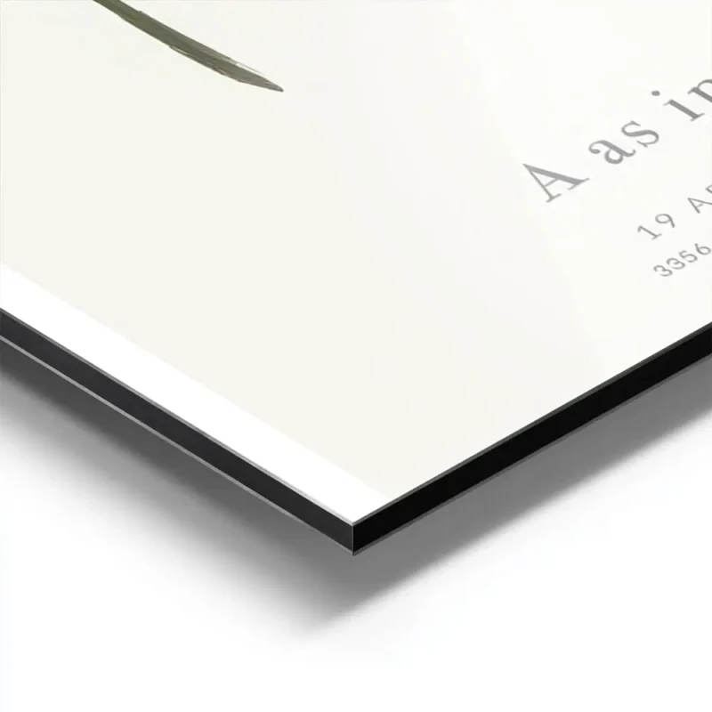 affiche botanique personnalisee avec illustration dune plante formant la lettre aluminium.webp