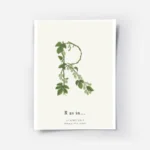 affiche botanique personnalisee avec la lettre r formee de feuilles vertes et de.webp